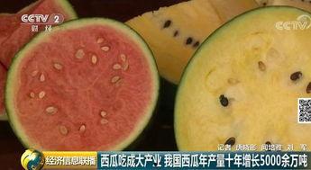 中国的前线吃瓜群众,前线吃瓜群众视角下的中国热点事件盘点