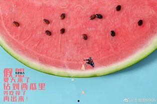 论吃瓜群众的最高境界,品鉴瓜香，洞察人心