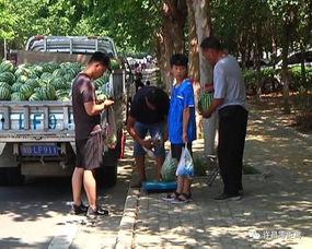 巴州吃瓜群众事件真相是真的吗,还原事件始末