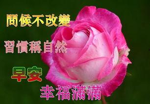 吃瓜群众祝福情侣的话语,吃瓜群众为情侣献上温馨话语