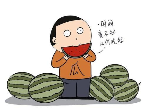 新郎吃瓜群众怎么说话,一场婚礼上的趣味围观
