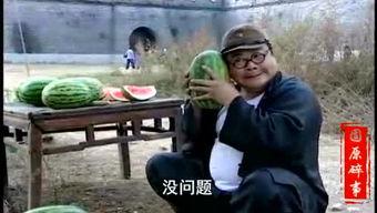 吃瓜群众商业说书视频