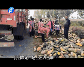 吃瓜群众忙得不亦乐乎