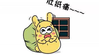 吃瓜群众1217,一场全民参与的娱乐盛宴