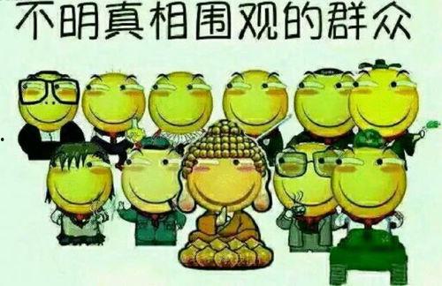 反光衣吃瓜群众,安全观演两不误