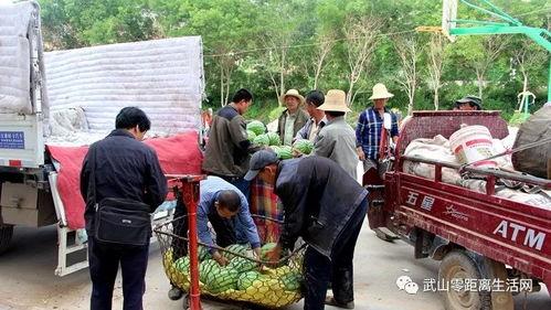 黄岭镇吃瓜群众事件,一场网络舆论的风暴与反思