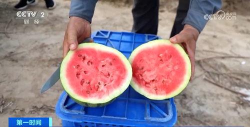 吃瓜群众水果,揭秘水果界的“网红”与“实力派”